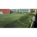 Synthetic Turf Company Ltd