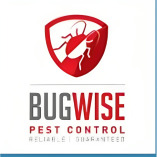 Pest Control Services in London & Essex