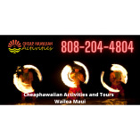 Cheaphawaiian Activities and Tours Wailea