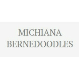 Michiana Bernedoodles