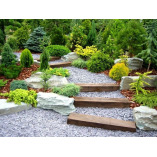 Arcadia Landscaping Pros