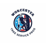 Worcester Tree Service Pros