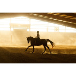 Horselux Equestrian Center