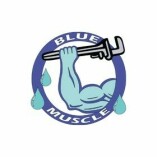 Blue Muscle Plumbing And Rooter Service