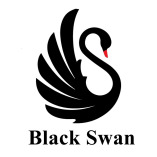 Black Swan Business Setup Services