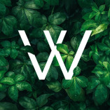 The Whitehouse Dental Clinic