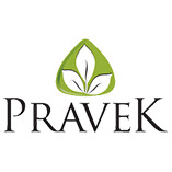 Pravek