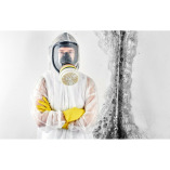 St Louis Mold Removal Pros