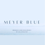 Meyer Blue Condo New Launch