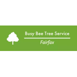 Busy Bee Tree Service Fairfax