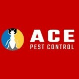 Ace Possum Removal Melbourne