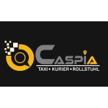 Taxi Neumünster Caspia | Flughafentransfer - Kurier - Rollstuhl logo