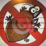 Edmonton Exterminators