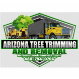 Arizona Tree Trimming & Removal Scottsdale