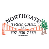 Northgate Tree Care