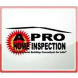 A Professional Inspection Service