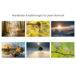 Wandbilderdirekt.de - Wandbilder online kaufen
