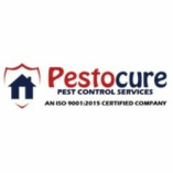 Pestocure Pest Control Services