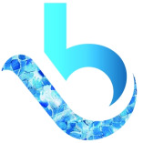 Blue Creek Digital LLC
