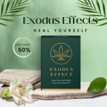 Exodus Effect Review