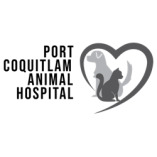 Port Coquitlam Animal Hospital