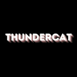 Thundercat Merch