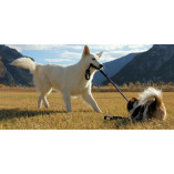 Hundezentrum Mc Wolfi