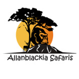 Allanblackia Safaris