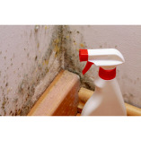 Pillar Fire Mold Removal Co