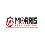 Morris Bee Removal Sydney