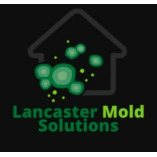 Lancaster Mold Removal Solutions