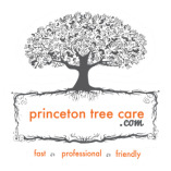 Princeton Tree Care