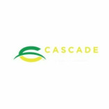 Cascade Collision Repair