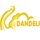 Dandeli Jungle Resorts