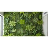 Green Wall Ltd