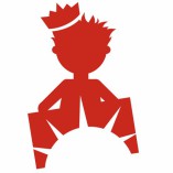 Heizprinz Infrarot Systeme