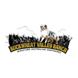 Buckwheat Valley Ranch