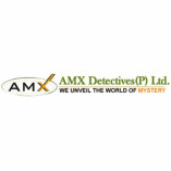 AMX Detectives