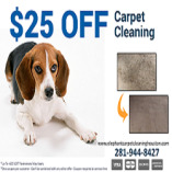 Elephant Carpet Cleaning Houston TX