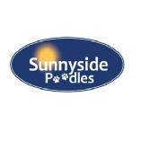 Sunnyside Poodles