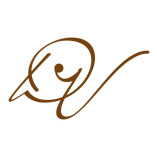 Digital Virtuosen logo