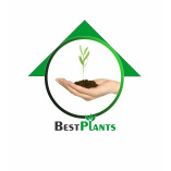 BEST PLANTS