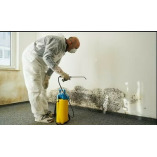 Mold Remediation West Jordan Solutions