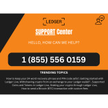 Help Ledger Nano — Official Live Customer Support Center