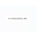 A D Holdings Inc