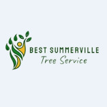 Best Tree Service Summerville, SC