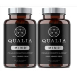 Qualia Mind