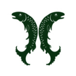 Salm-Salm & Partner GmbH logo