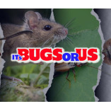 Its Bugs Or Us - Dallas