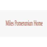 Miles Pomeranian Home